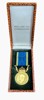 Förtjänstmedalj "18K / 23K"