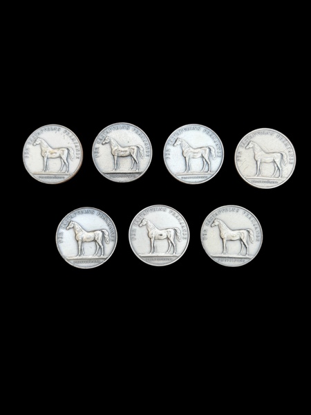 SILVERMEDALJER,  7 st