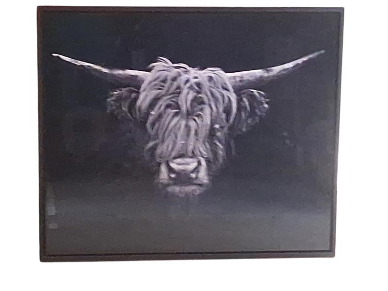 FOTOKONST, Claudio Gotsch