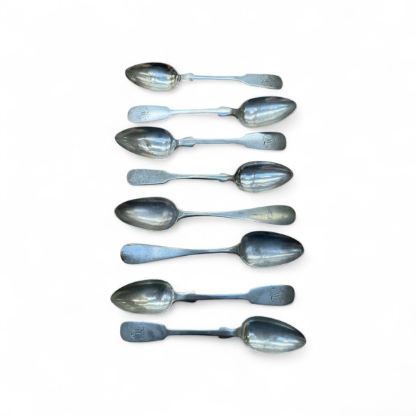 SILVER Skedar Dresden 8 st