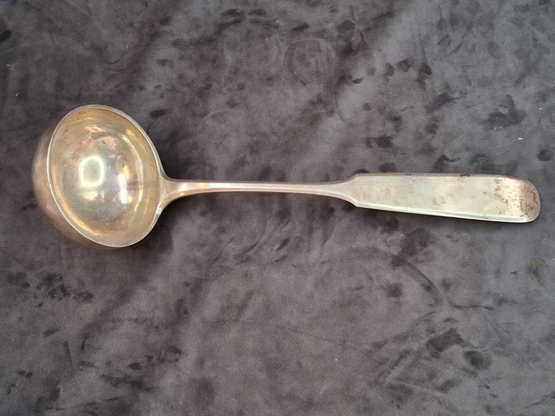 SILVER, soppslev