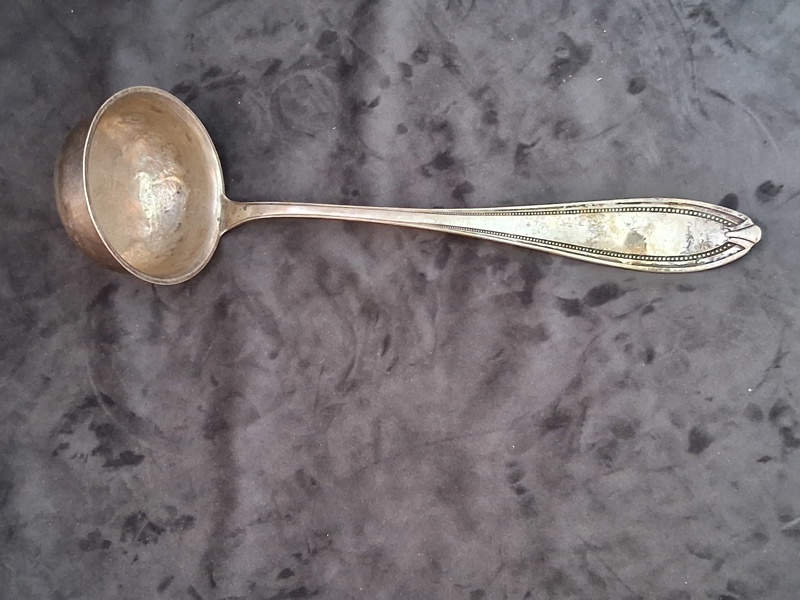 SILVER, soppslev