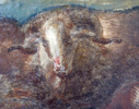 OLJA, Adriaen Van de Velde, hans efterföljd,