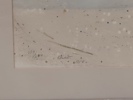 FÄRGLITOGRAFI, Jürgen von Konow