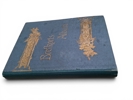 VYKORT, 1 album