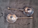 SUPSKEDAR SILVER