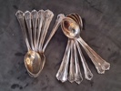 TESKEDAR SILVER