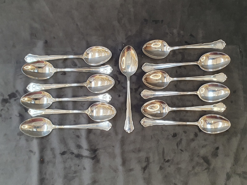 SKEDAR SILVER
