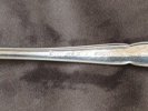 SKEDAR SILVER