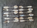 SKEDAR SILVER