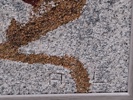 SANDMÅLNING/MOSAIK, Alvar Lundgren
