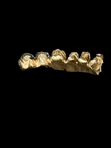 TANDGULD, 18K