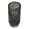 GLASVAS