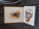 FÄRGLITOGRAFI SAMT BOK, Gunnar Pettersson
