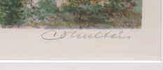 FÄRGLITOGRAFI, C O Hultén,