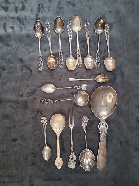 PARTI SILVER, skedar
