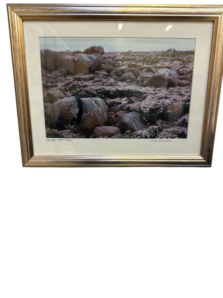 Tavla Foto Sven Gillsäter "Påarp Triftfält"