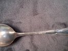 THESKEDAR, SILVER, 4 st