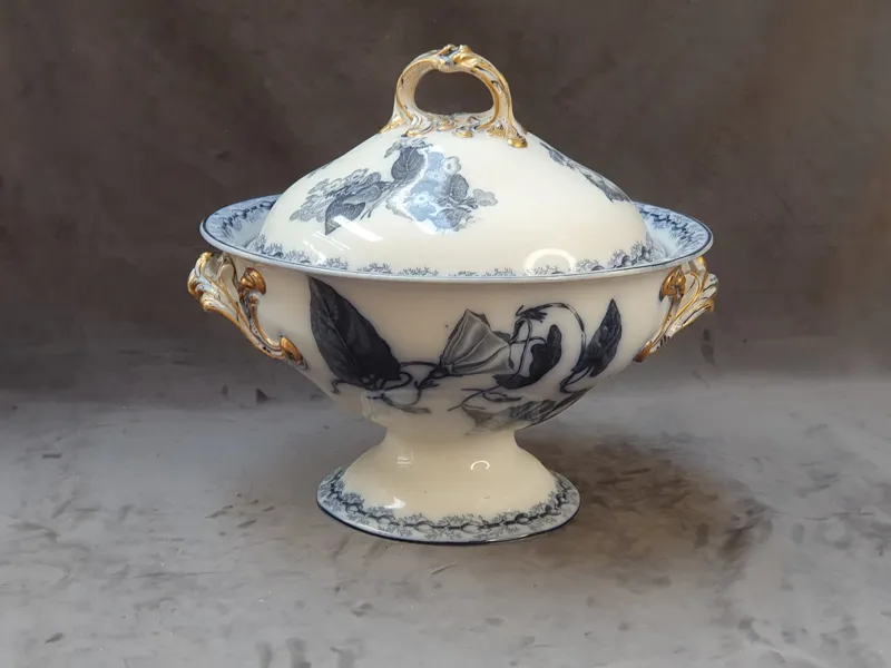 TERRIN, Wedgewood
