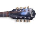 Banjo, Hans Carlsson Levin