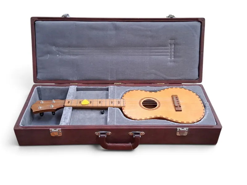 Ukulele, i väska
