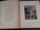Bok, Luise von Joh. Heinr. Voss