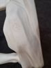 Skulptur, parian, Gustavsberg