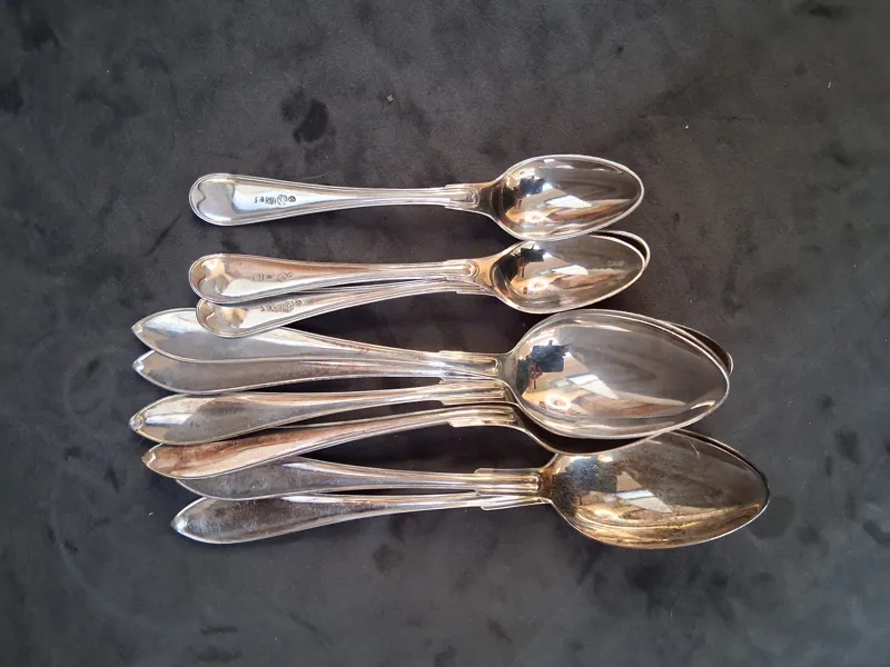 Parti silver, skedar