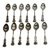 THESKEDAR SILVER