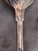 Dessertskedar, 12 st, silver