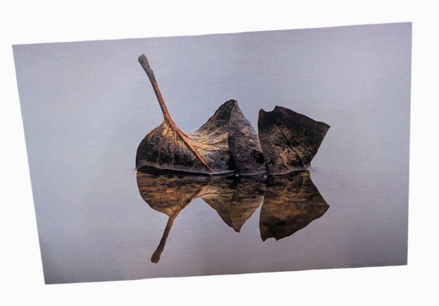 Tavla Fotokonst av Cecilia Thornberg